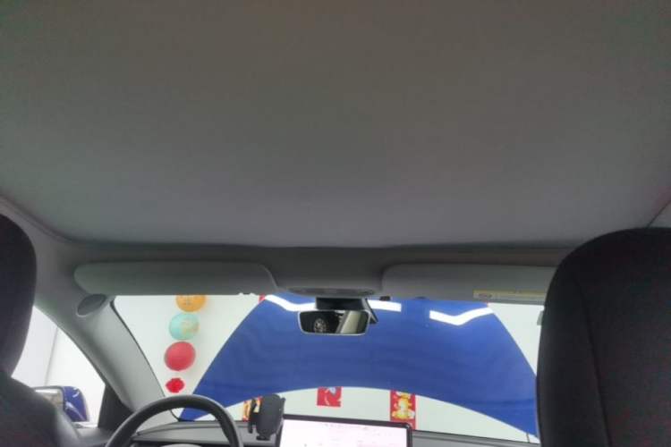 Used Tesla Model 3 2020 Refreshed Version Long-Range Rear-Wheel Drive Headliner