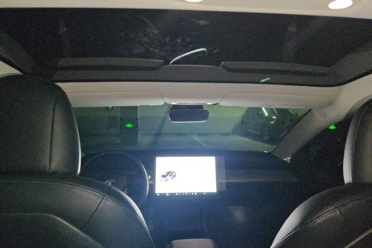 Used Tesla Model 3 2020 Long-Range Rear-Wheel-Drive Version Headliner