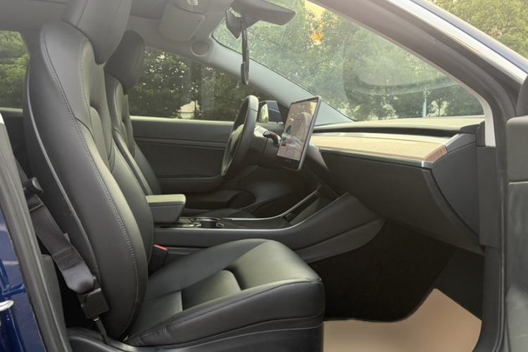 Used Tesla Model 3 2020 Standard Range Rear-Wheel Drive Upgraded Version Interior 1