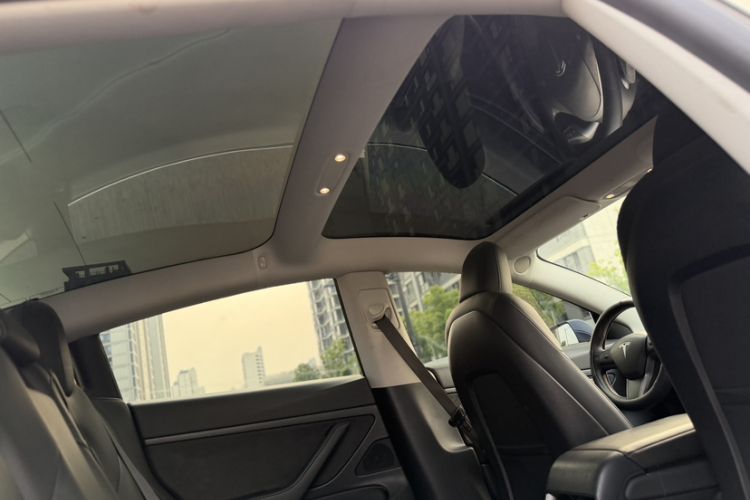 Used Tesla Model 3 2020 Standard Range Rear-Wheel Drive Upgraded Version Interior 7