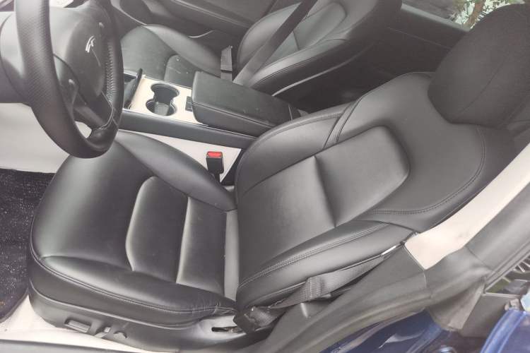 Used Tesla Model 3 2020 Standard Range Rear-Wheel Drive Upgraded Version Left Front Seat