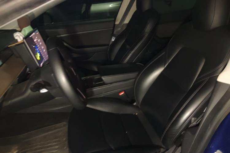 Used Tesla Model 3 2020 Standard Range Rear-Wheel Drive Upgraded Version Left Front Seat