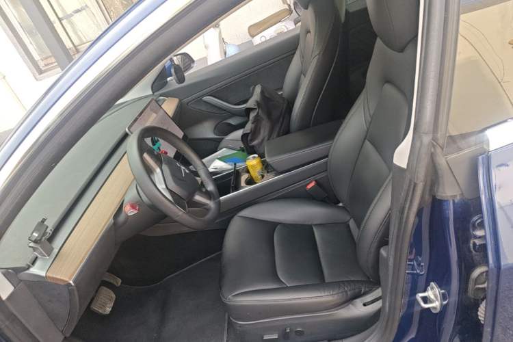 Used Tesla Model 3 2020 Standard Range Rear-Wheel Drive Upgraded Version Left Front Seat