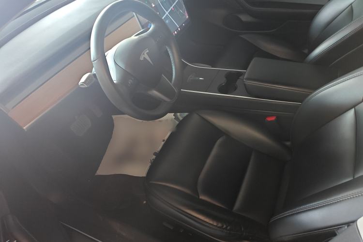 Used Tesla Model 3 2020 Standard Range Rear-Wheel Drive Upgraded Version Left Front Seat