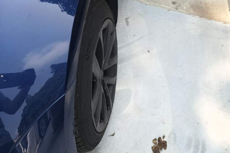 Used Tesla Model 3 2020 Refreshed Version Long-Range Rear-Wheel Drive Left Front Wheel Hub