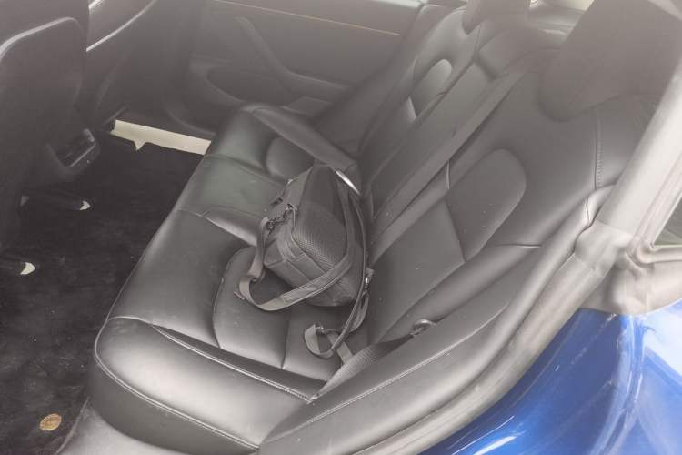 Used Tesla Model 3 2020 Standard Range Rear-Wheel Drive Upgraded Version Left Rear Seat