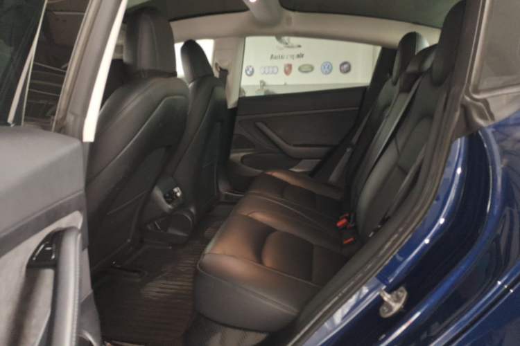 Used Tesla Model 3 2020 Revised Version Standard Range Rear-Wheel Drive – Upgraded Edition Left Rear Seat