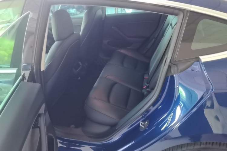 Used Tesla Model 3 2020 Revised Version Standard Range Rear-Wheel Drive – Upgraded Edition Left Rear Seat