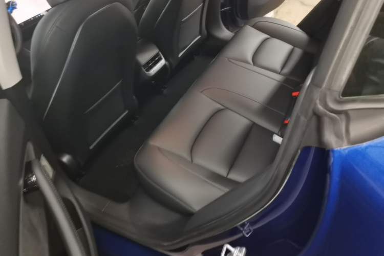 Used Tesla Model 3 2020 Revised Version Standard Range Rear-Wheel Drive – Upgraded Edition Left Rear Seat