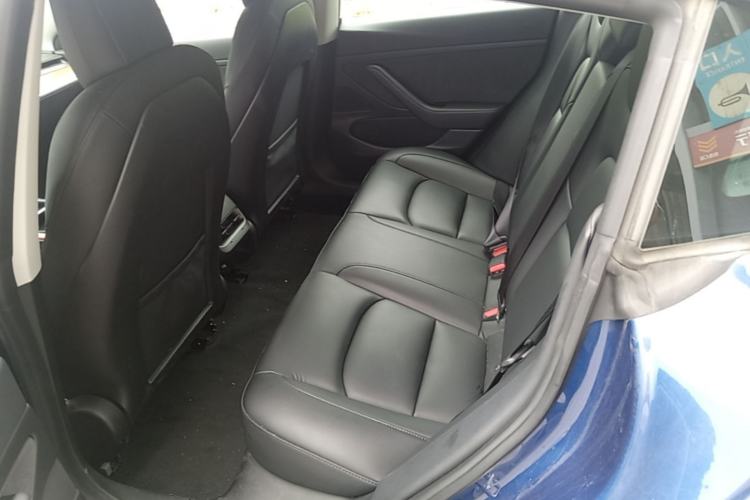Used Tesla Model 3 2020 Revised Version Standard Range Rear-Wheel Drive – Upgraded Edition Left Rear Seat
