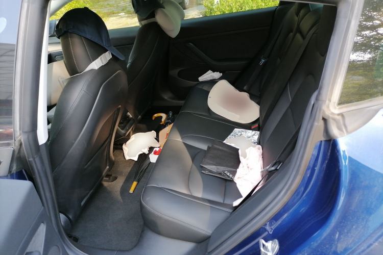 Used Tesla Model 3 2020 Revised Version Standard Range Rear-Wheel Drive – Upgraded Edition Left Rear Seat