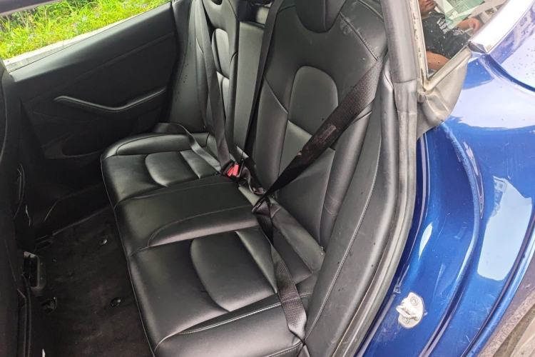 Used Tesla Model 3 2020 Standard Range Rear-Wheel Drive Upgraded Version Left Rear Seat