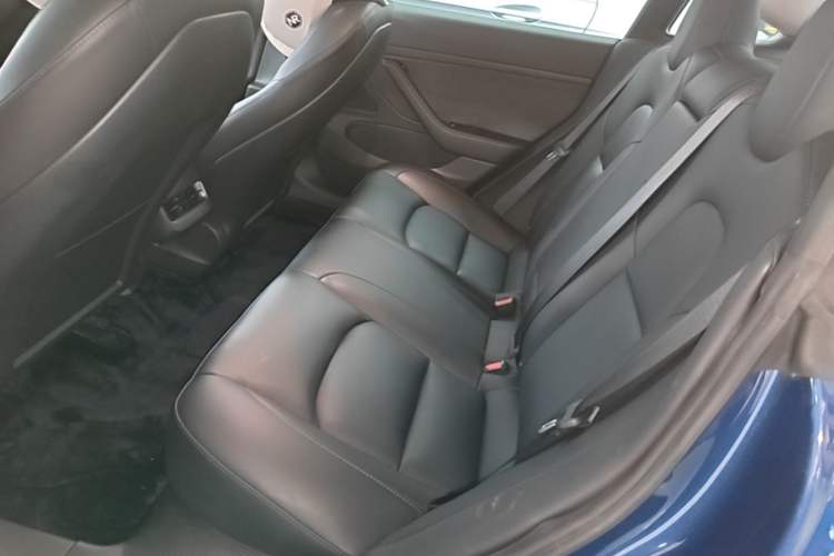 Used Tesla Model 3 2020 Standard Range Rear-Wheel Drive Upgraded Version Left Rear Seat