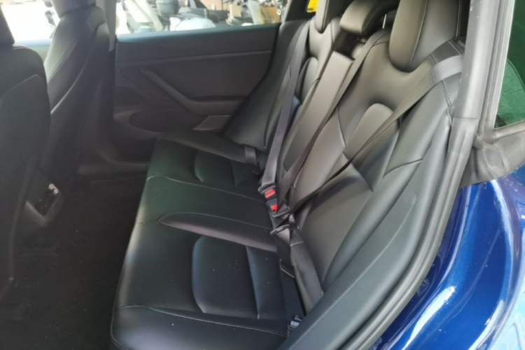 Used Tesla Model 3 2020 Standard Range Rear-Wheel Drive Upgraded Version Left Rear Seat