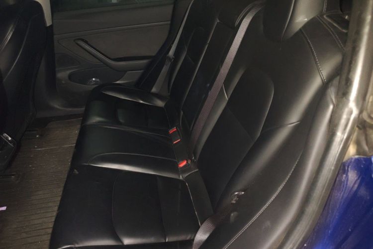 Used Tesla Model 3 2020 Standard Range Rear-Wheel Drive Upgraded Version Left Rear Seat