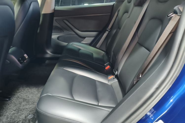 Used Tesla Model 3 2020 Standard Range Rear-Wheel Drive Upgraded Version Left Rear Seat