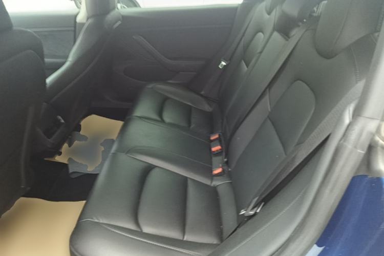Used Tesla Model 3 2020 Standard Range Rear-Wheel Drive Upgraded Version Left Rear Seat