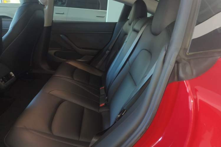Used Tesla Model 3 2020 Refreshed Version Long-Range Rear-Wheel Drive Left Rear Seat