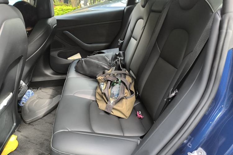 Used Tesla Model 3 2020 Revised Version Standard Range Rear-Wheel Drive – Upgraded Edition Left Rear Seat