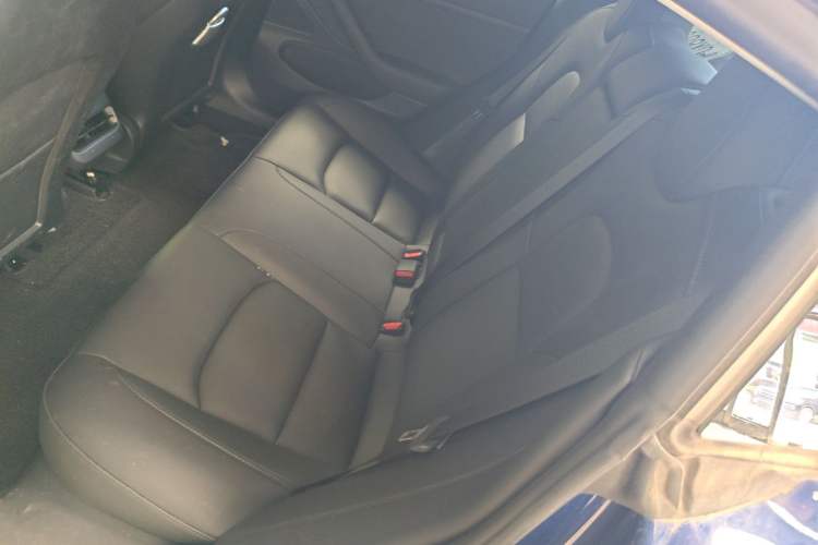 Used Tesla Model 3 2020 Revised Version Standard Range Rear-Wheel Drive – Upgraded Edition Left Rear Seat