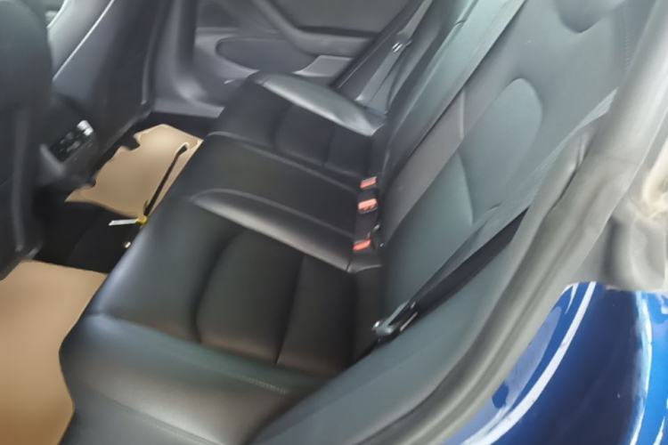 Used Tesla Model 3 2020 Standard Range Rear-Wheel Drive Upgraded Version Left Rear Seat