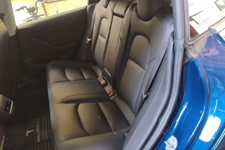Used Tesla Model 3 2020 Revised Version Standard Range Rear-Wheel Drive – Upgraded Edition Left Rear Seat
