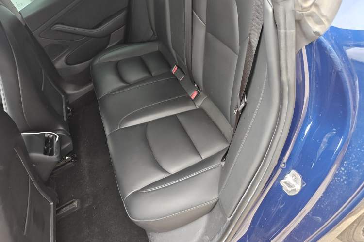 Used Tesla Model 3 2020 Revised Version Standard Range Rear-Wheel Drive – Upgraded Edition Left Rear Seat