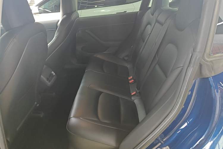 Used Tesla Model 3 2020 Standard Range Rear-Wheel Drive Upgraded Version Left Rear Seat