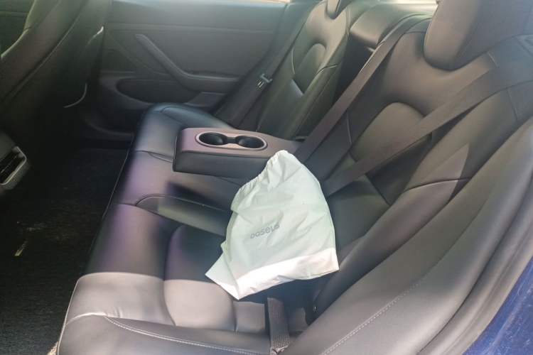 Used Tesla Model 3 2020 Standard Range Rear-Wheel Drive Upgraded Version Left Rear Seat