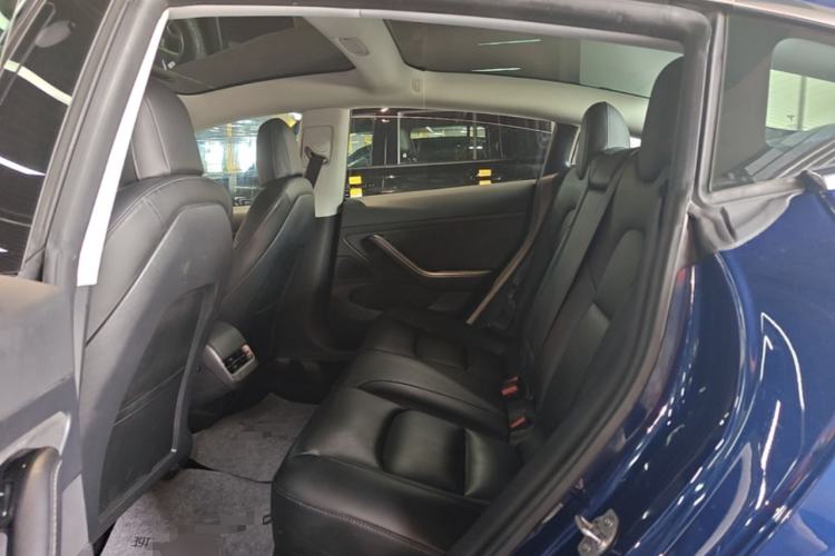 Used Tesla Model 3 2020 Standard Range Rear-Wheel Drive Upgraded Version Left Rear Seat