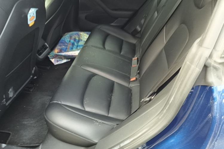 Used Tesla Model 3 2020 Standard Range Rear-Wheel Drive Upgraded Version Left Rear Seat