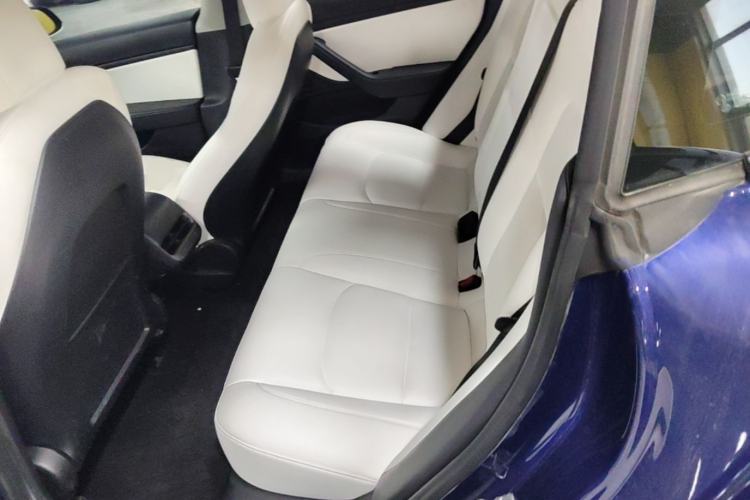 Used Tesla Model 3 2020 Refreshed Version Long-Range Rear-Wheel Drive Left Rear Seat