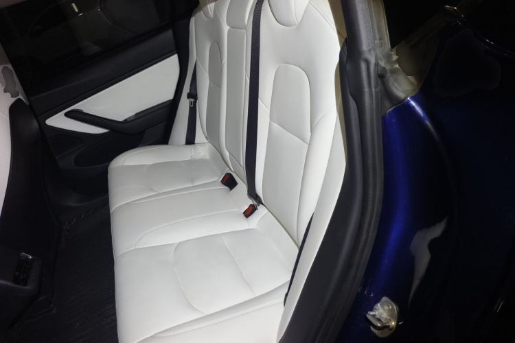 Used Tesla Model 3 2020 Refreshed Version Long-Range Rear-Wheel Drive Left Rear Seat
