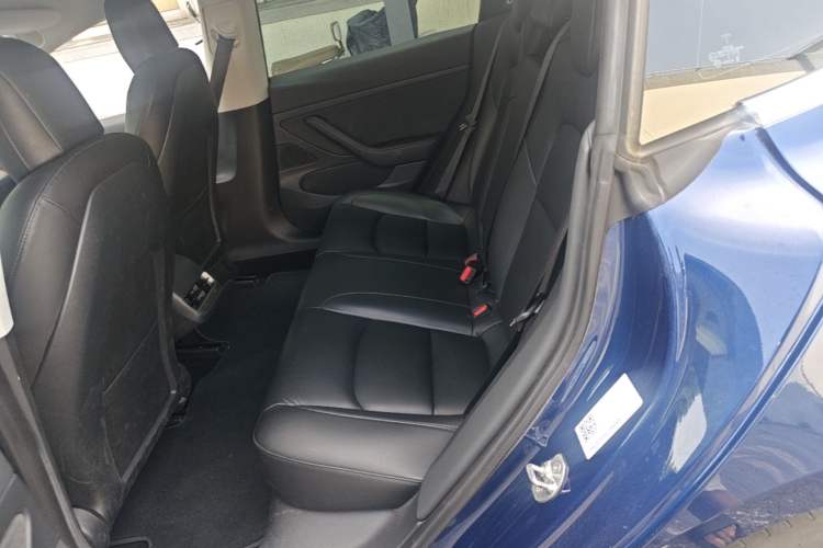 Used Tesla Model 3 2020 Standard Range Rear-Wheel Drive Upgraded Version Left Rear Seat