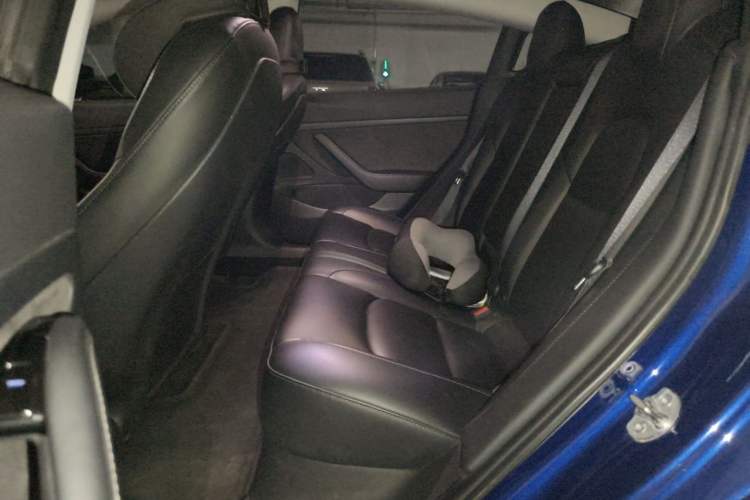 Used Tesla Model 3 2020 Refreshed Version Long-Range Rear-Wheel Drive Left Rear Seat