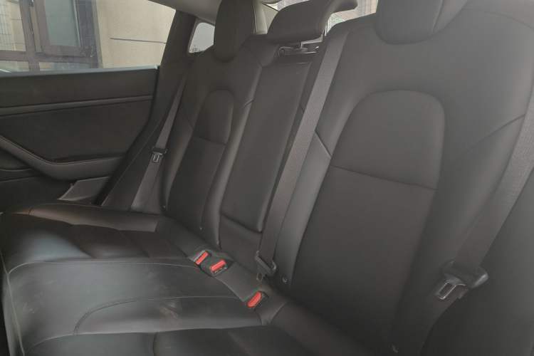 Used Tesla Model 3 2020 Standard Range Rear-Wheel Drive Upgraded Version Left Rear Seat