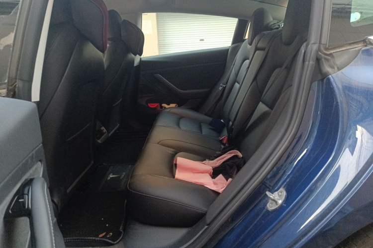 Used Tesla Model 3 2020 Revised Version Standard Range Rear-Wheel Drive – Upgraded Edition Left Rear Seat