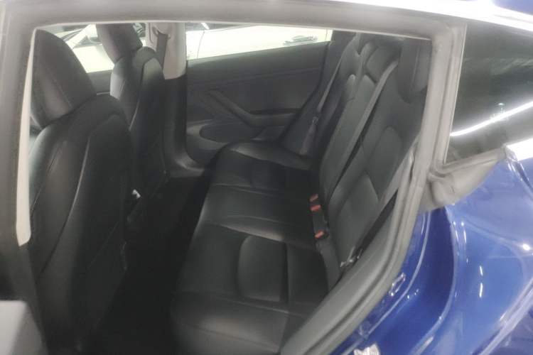 Used Tesla Model 3 2020 Refreshed Version Long-Range Rear-Wheel Drive Left Rear Seat