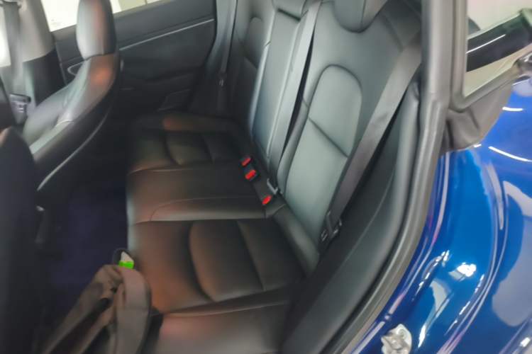 Used Tesla Model 3 2020 Standard Range Rear-Wheel Drive Upgraded Version Left Rear Seat