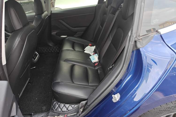 Used Tesla Model 3 2020 Standard Range Rear-Wheel Drive Upgraded Version Left Rear Seat