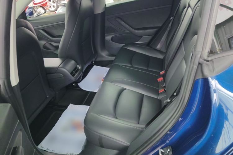 Used Tesla Model 3 2020 Revised Version Standard Range Rear-Wheel Drive – Upgraded Edition Left Rear Seat