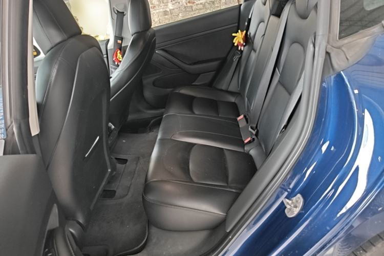 Used Tesla Model 3 2020 Standard Range Rear-Wheel Drive Upgraded Version Left Rear Seat