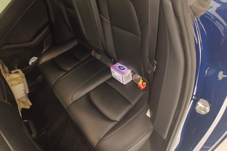 Used Tesla Model 3 2020 Refreshed Version Long-Range Rear-Wheel Drive Left Rear Seat