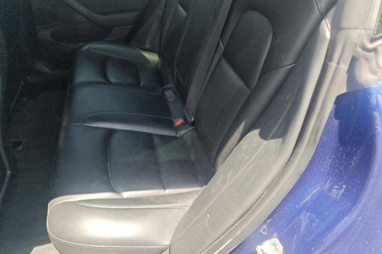 Used Tesla Model 3 2020 Standard Range Rear-Wheel Drive Upgraded Version Left Rear Seat