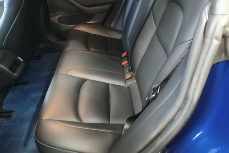 Used Tesla Model 3 2020 Revised Version Standard Range Rear-Wheel Drive – Upgraded Edition Left Rear Seat