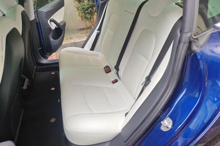 Used Tesla Model 3 2020 Revised Version Standard Range Rear-Wheel Drive – Upgraded Edition Left Rear Seat