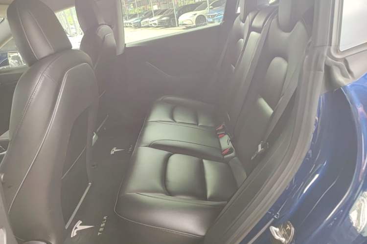Used Tesla Model 3 2020 Standard Range Rear-Wheel Drive Upgraded Version Left Rear Seat