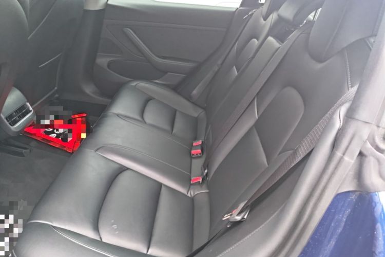 Used Tesla Model 3 2020 Standard Range Rear-Wheel Drive Upgraded Version Left Rear Seat