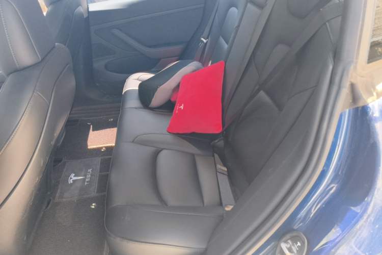Used Tesla Model 3 2020 Revised Version Standard Range Rear-Wheel Drive – Upgraded Edition Left Rear Seat