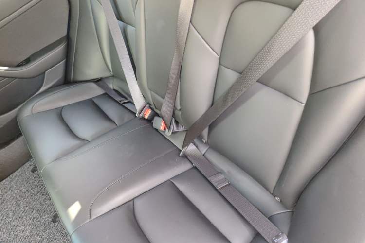 Used Tesla Model 3 2020 Standard Range Rear-Wheel Drive Upgraded Version Left Rear Seat